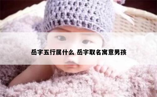 岳字五行属什么 岳字取名寓意男孩