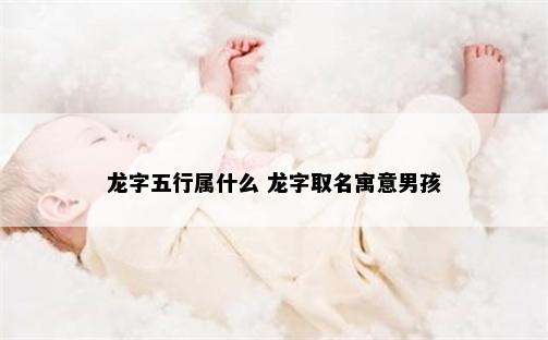 龙字五行属什么 龙字取名寓意男孩