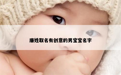 廉姓取名有创意的男宝宝名字