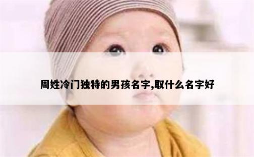 周姓冷门独特的男孩名字,取什么名字好